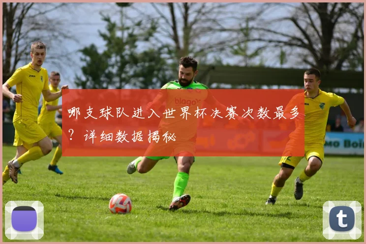 哪支球队进入世界杯决赛次数最多？详细数据揭秘