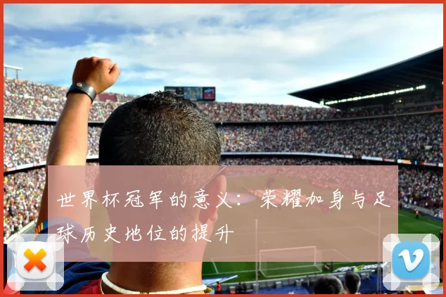 世界杯冠军的意义:荣耀加身与足球历史地位的提升