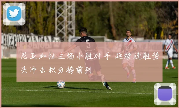 尼亚加拉主场小胜对手 延续连胜势头冲击积分榜前列